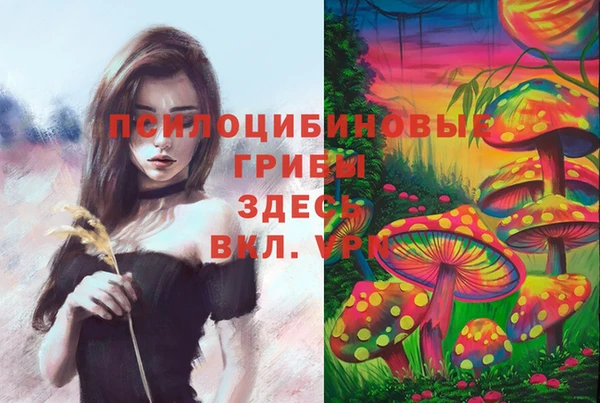 кристаллы Мегион