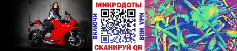это какой сайт  Южно-Сахалинск  Галлюциногенные грибы мицелий  mega вход 